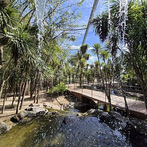 Oceania Walktrough aviary