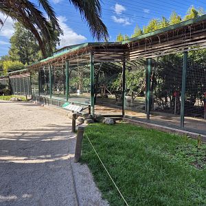 Parrot Aviaries