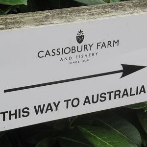 Signage