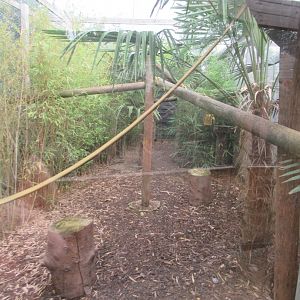 Fossa enclosure