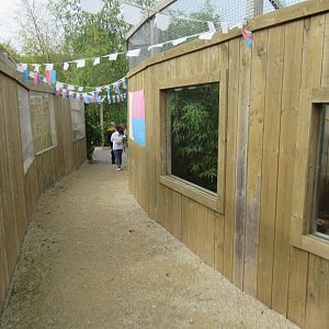 Lemurs on the left, fossa on the right