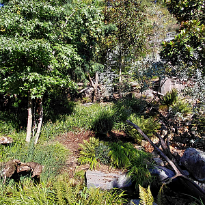 Darwin's crater - Tasmanian devil outdoor exhibit