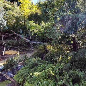 Darwin's crater - Tasmanian devil outdoor exhibit