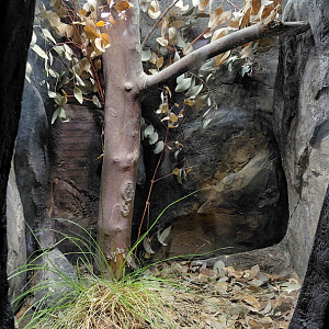 Darwin's crater - Adder exhibit