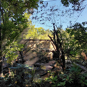 Darwin's crater - walkthrough aviary