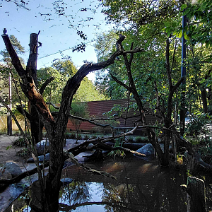 Darwin's crater - walkthrough aviary