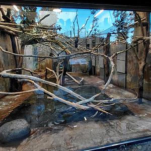 Darwin's crater - Australian birds indoor exhibit