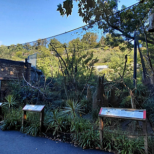 Darwin's crater - Aviary