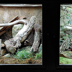 Native snakes exhibits