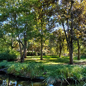 Spider monkey outdoor exhibit