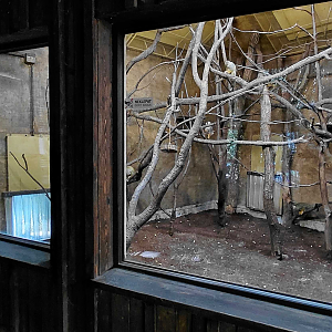 Squirrel monkey indoor exhibit