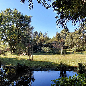 Capuchin outdoor exhibit