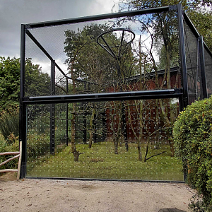 Capuchin outdoor exhibit