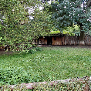 Malayan tapir outdoor exhibit