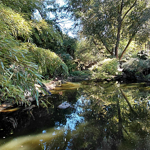 Chambal - Pond turtle exhibit