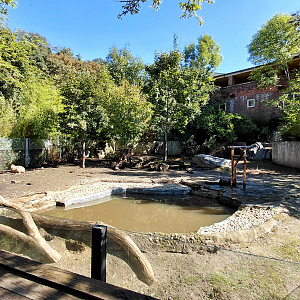 Capybara + giant anteater exhibit