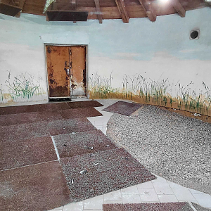 Greater flamingo indoor exhibit