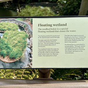 Floating Wetland Signage