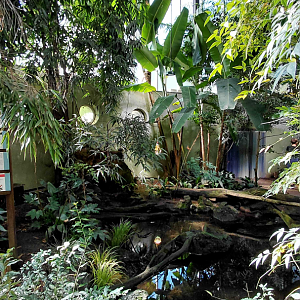 Inside the Sichuan house