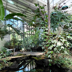 Inside the Sichuan house