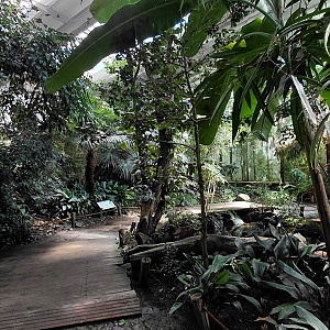 Inside the Sichuan house