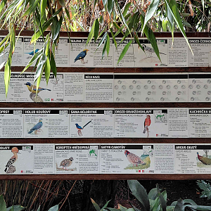 Sichuan - list of species