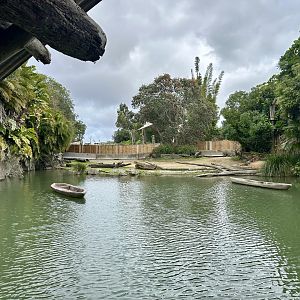 Rhino Waterhole Redevelopment