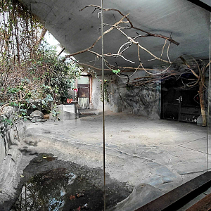 Tortoise indoor exhibit