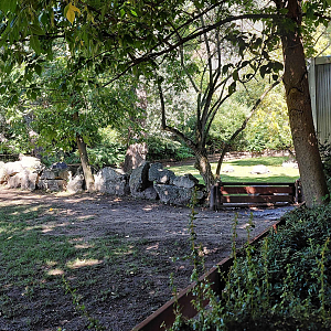 Tortoise outdoor exhibit