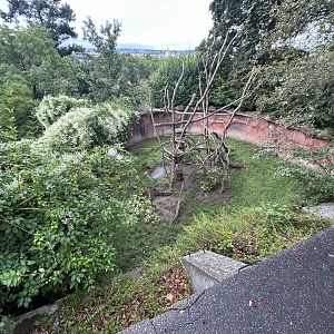 North American Porcupine Exhibit