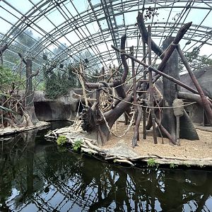 Indoor Orangutan Exhibits - Indonesian Jungle Pavillon