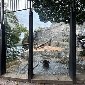 Polar Bear Exhibit #2