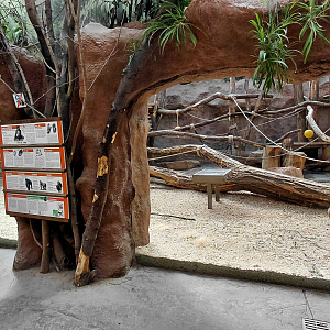 Méfou - indoor gorilla exhibit