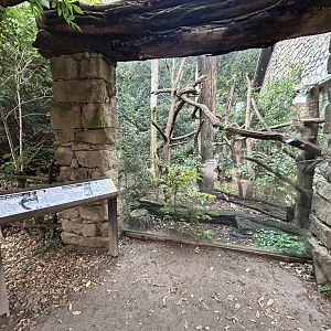 Ring-tailed Lemur & White-headed Lemur Exhibit - Africa Up Close
