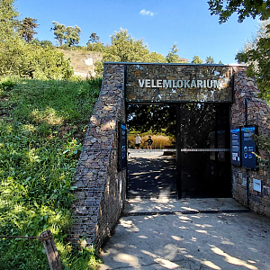 Giant salamander house