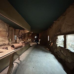 Africa Up Close Pavilion Overview