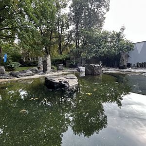 Humboldt Penguin Exhibit