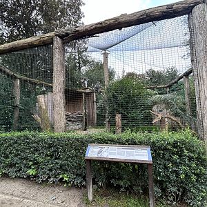 Steller’s Sea Eagle Aviary