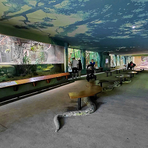 Inside the Feline and reptile house