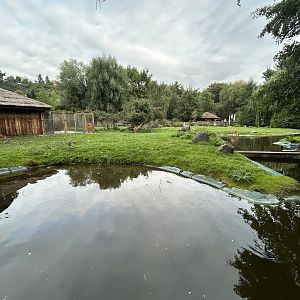Sitatunga & Marabou Stork Exhibit