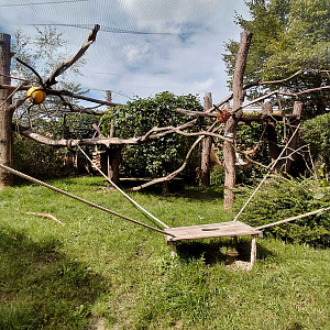 Fossa outdoor exhibit