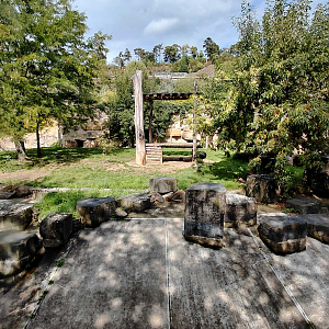 Lion outdoor exhibit