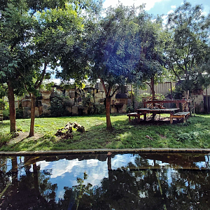 Sumatran tiger outdoor exhibit