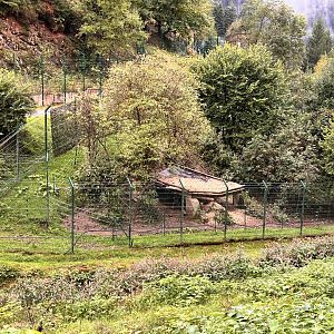 Alternative Wolf and Bear Park Black Forest- Separate Wolf-only Enclosure