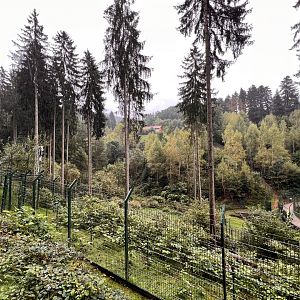 Alternative Wolf and Bear Park Black Forest- Brown Bear & Wolf Enclosure