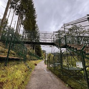 Alternative Wolf and Bear Park Black Forest- Future “Bear Bridge”