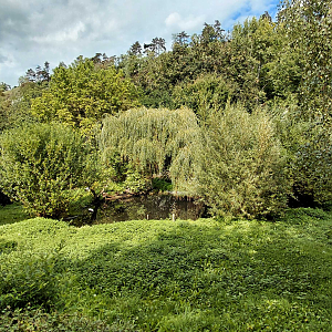 Red-crowned crane exhibit