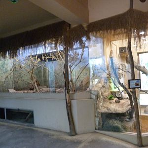 Diurnal area of African pavillion -Zoo Plzeň (2025)