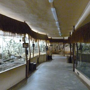Nocturnal area of African pavillion -Zoo Plzeň (2025)