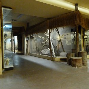 Nocturnal area of African pavillion -Zoo Plzeň (2025)